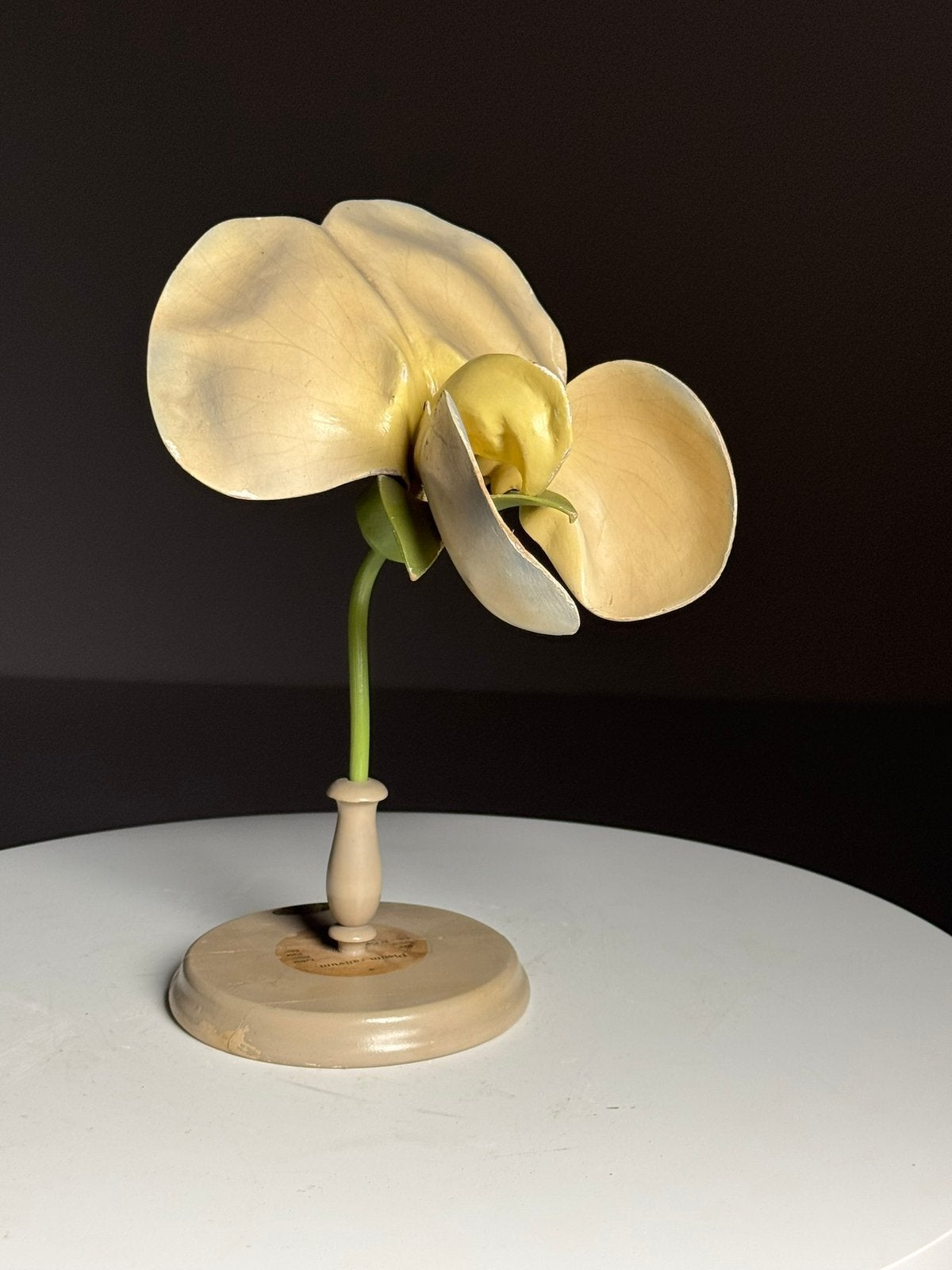 Duits Botanisch model bloem ca. 1900, Ophalen of Verzenden
