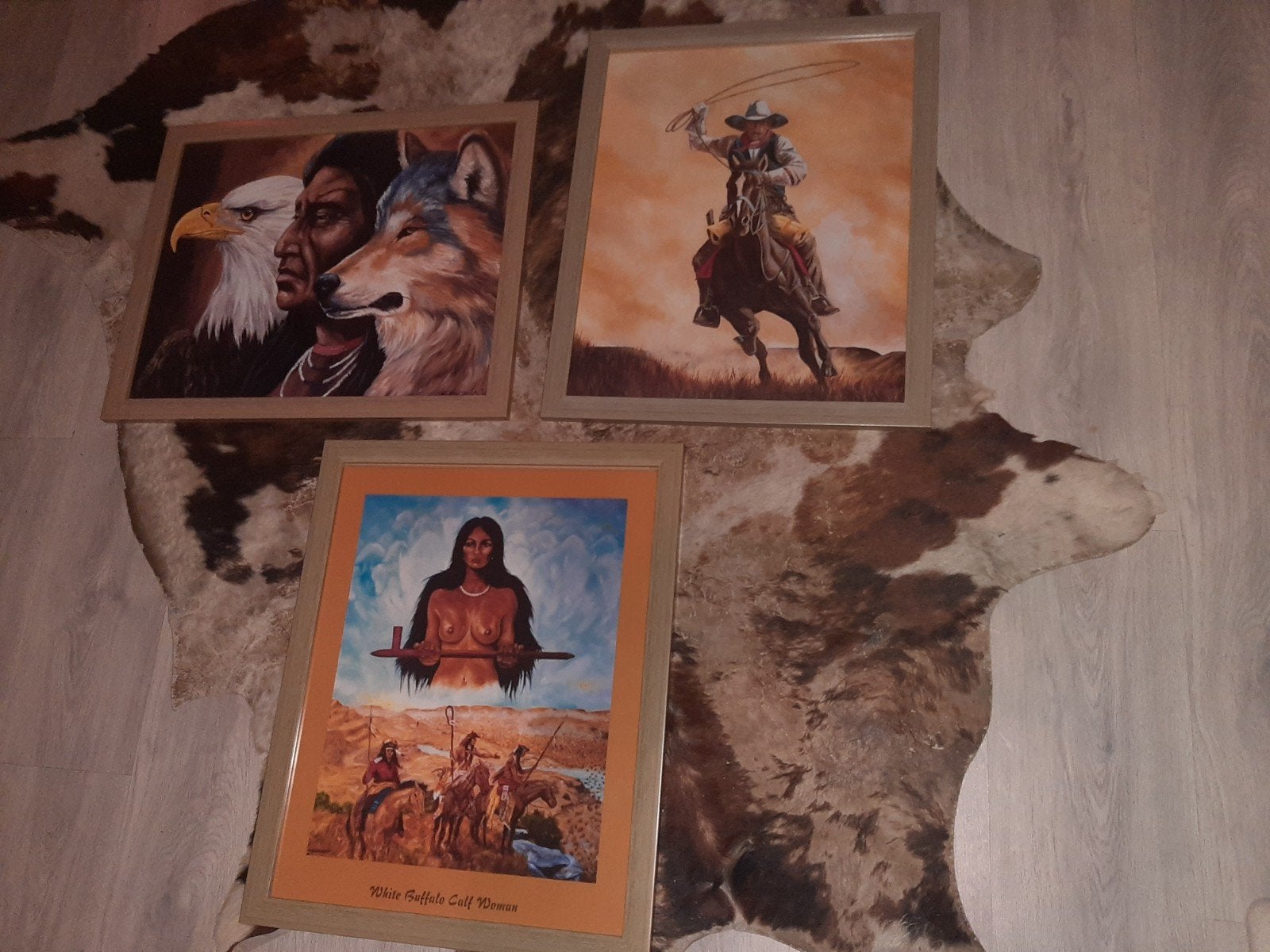 Indiaan schilderij, Ophalen, Zo goed als nieuw, Muziek, Film of Tv