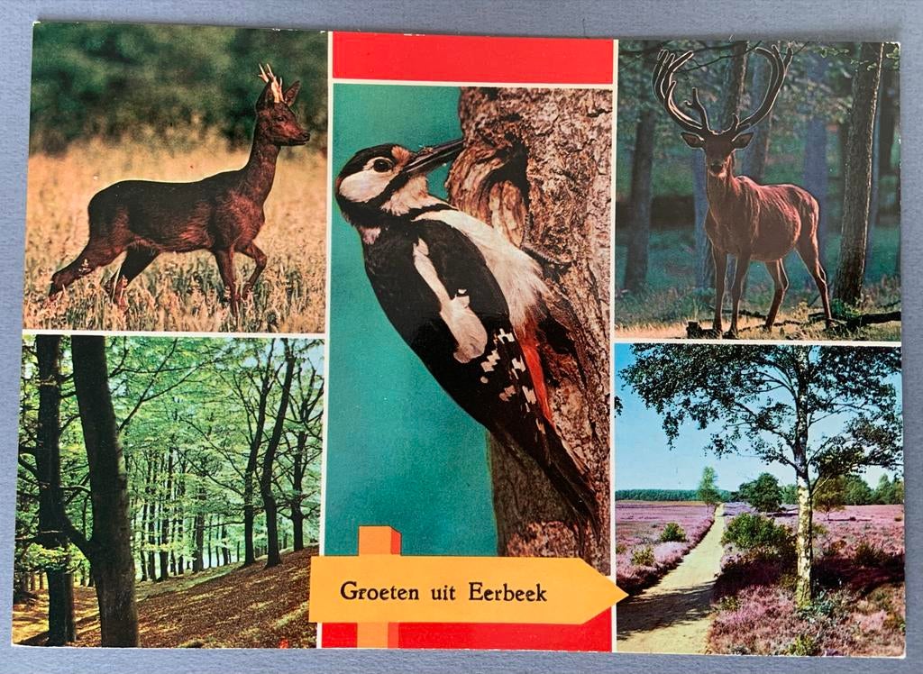 Groeten uit Eerbeek, Ophalen of Verzenden, 1960 tot 1980, Ongelopen, Gelderland