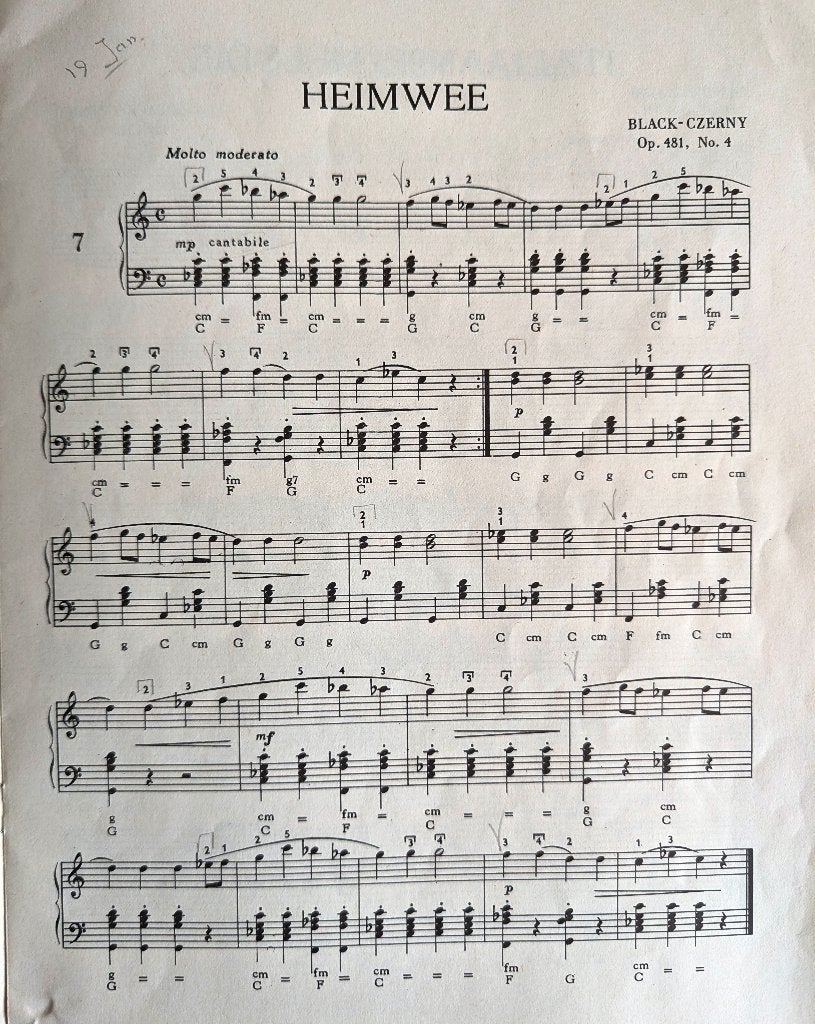 Diverse bladmuziek accordeon/trekzak, Gebruikt, Ophalen of Verzenden, Artiest of Componist, Populair