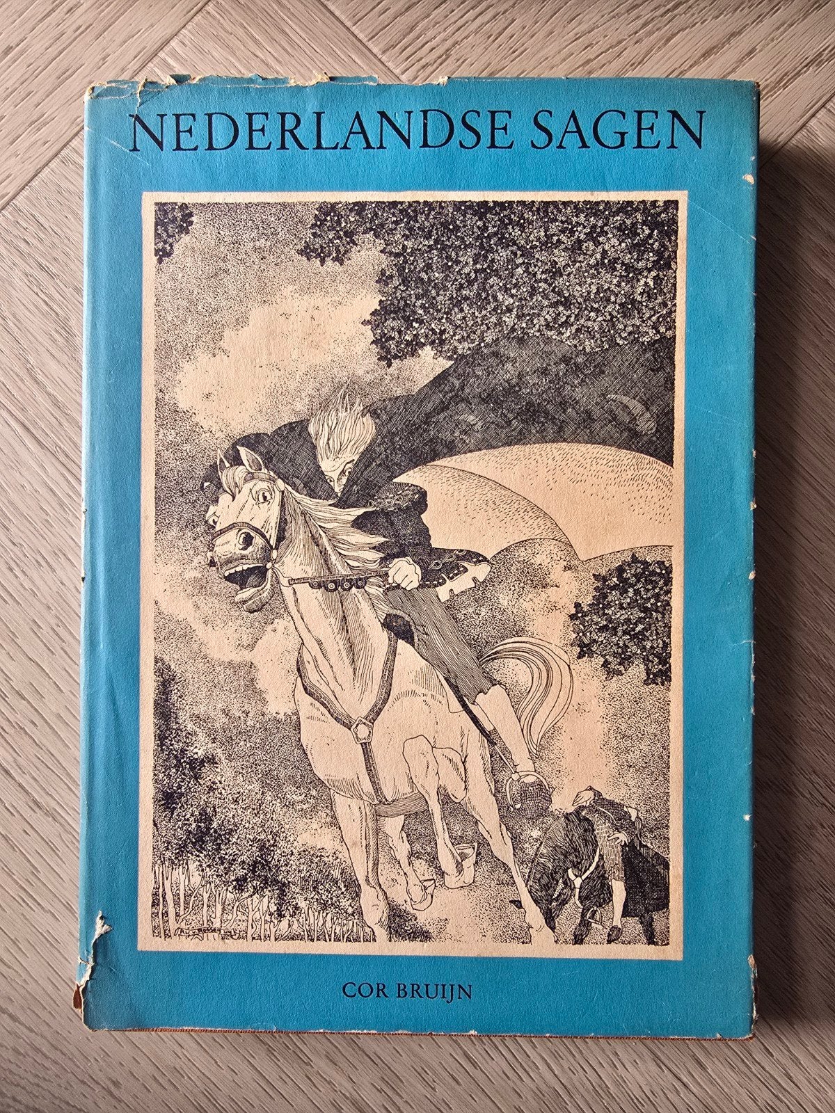 Nederlandse Sagen - Cor Bruijn (Geïllustreerd), Ophalen of Verzenden, Gelezen, Cor Bruijn, Nederland