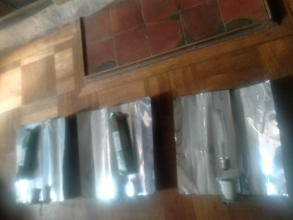 Kweeklampen kappen, Tuin en Terras, Kweekspullen, Ophalen, Gebruikt, Kweeklamp