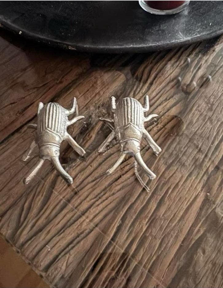 Prachtige decoratie insecten / kevers (2 stuks) NIEUW, Ophalen of Verzenden, Nieuw