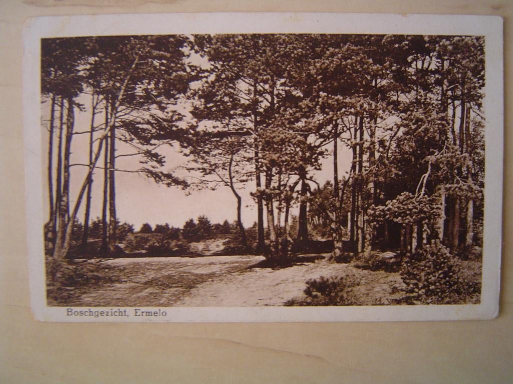 Boschgezicht, Ermelo, Verzenden, 1920 tot 1940, Gelopen, Gelderland
