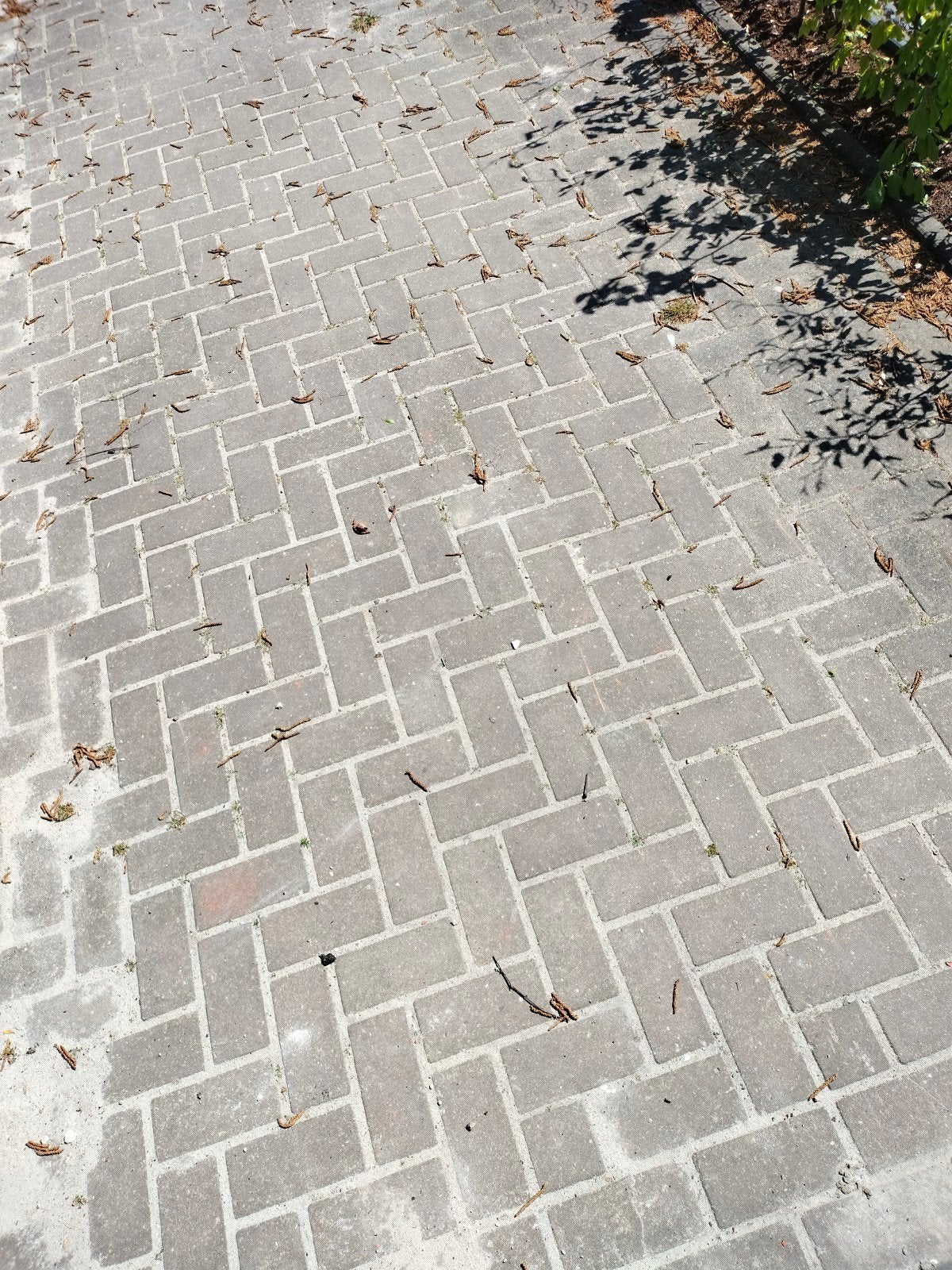 Gebruikte klinkers voor tuin of oprit, Tuin en Terras, Ophalen, Gebruikt, Klinkers, 10 m² of meer