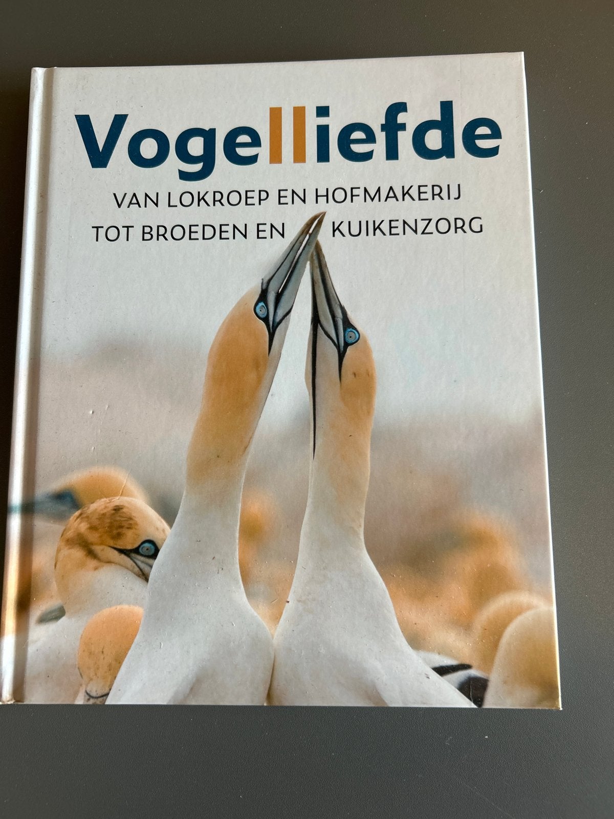 Vogelliefde: Van lokroep en hofmakerij tot broeden en kuiken, Boeken, Ophalen, Zo goed als nieuw, Vogels