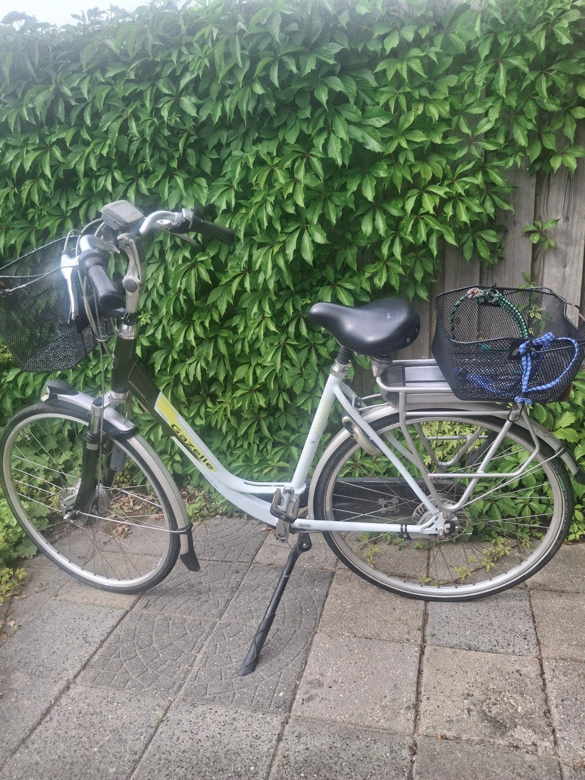 Gazelle Innergy elektrische fiets met manden, Ophalen