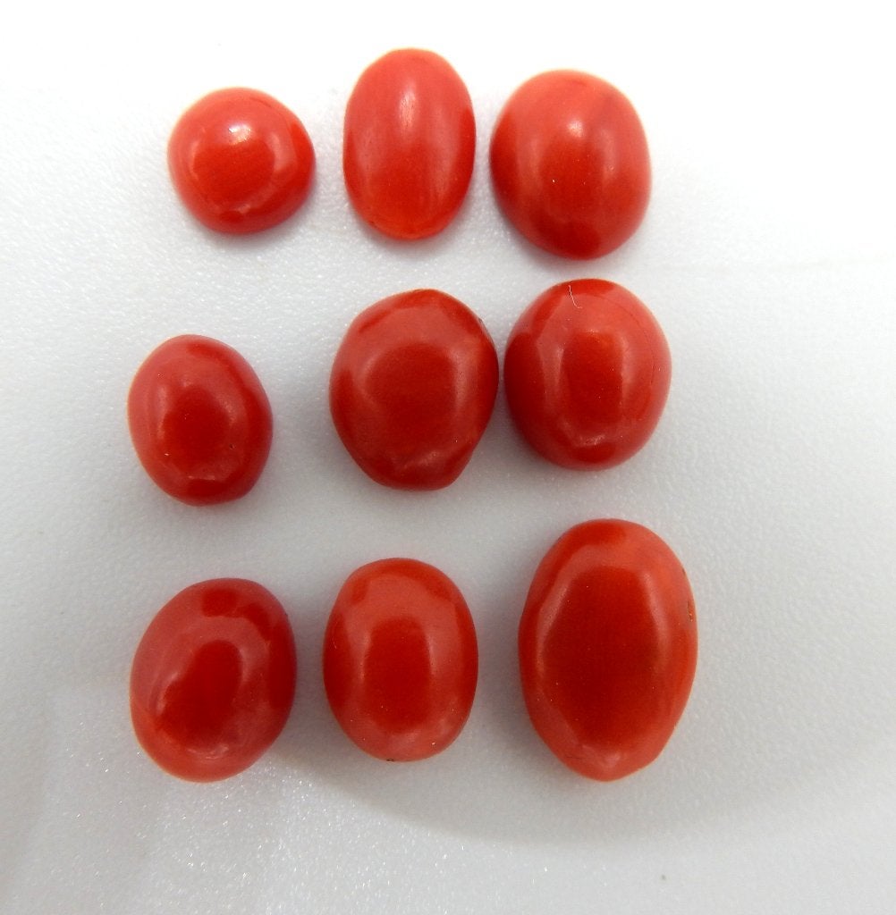 9 cabochons van bloedkoraal, Verzenden, Overige materialen, Overige typen, Met edelsteen