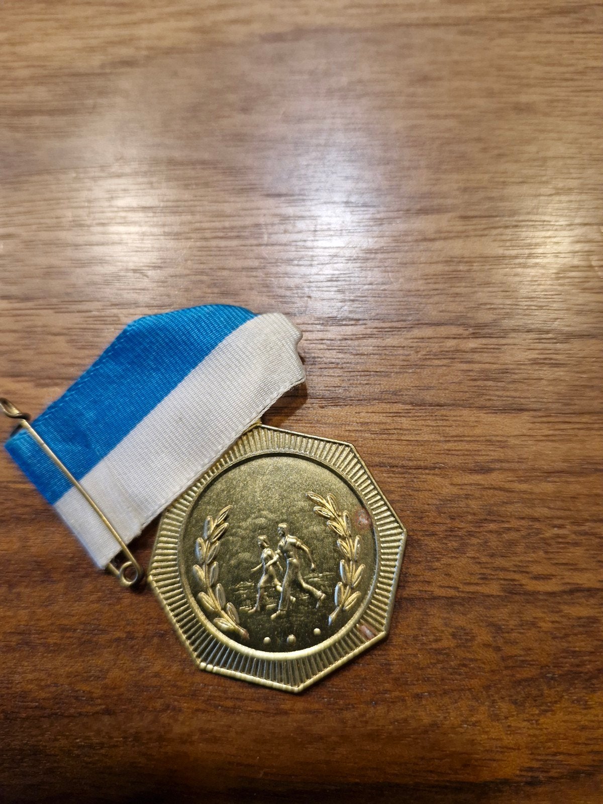 359 WSV De Schiedamse Tippelaars Medaille, Ophalen of Verzenden