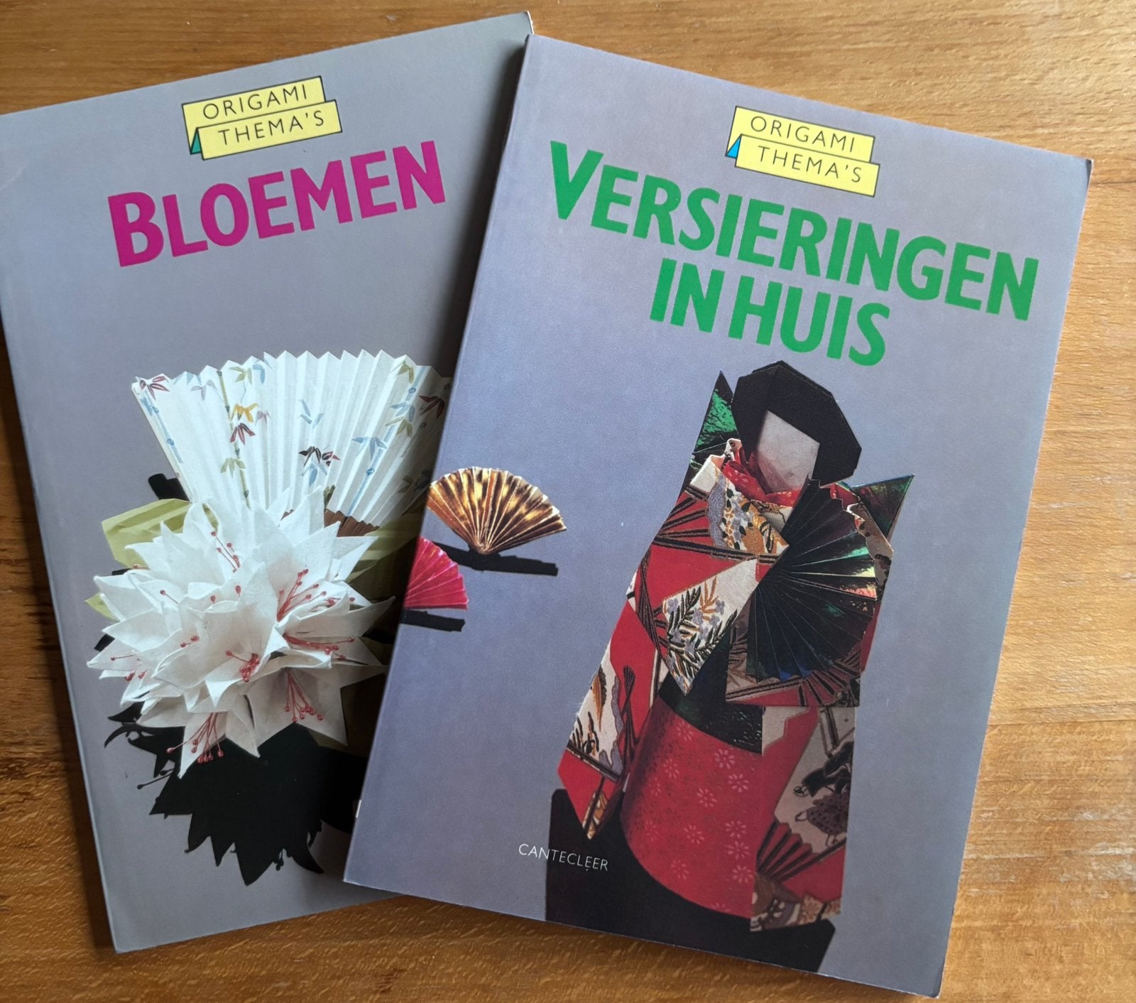 2 themaboekjes Everdien Tiggelaar, Boeken, Ophalen of Verzenden, Zo goed als nieuw, Overige onderwerpen