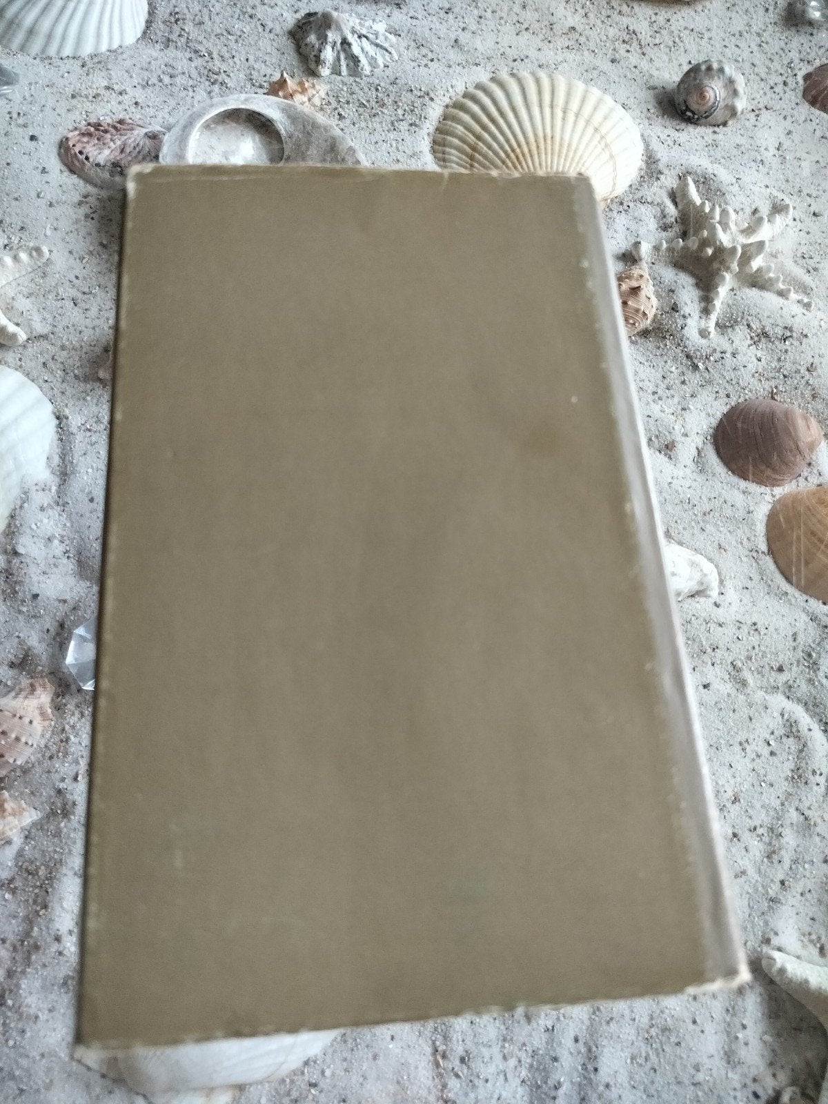 A. den Doolaard - Het verjaagde water - Hardcover, Ophalen of Verzenden, Gelezen