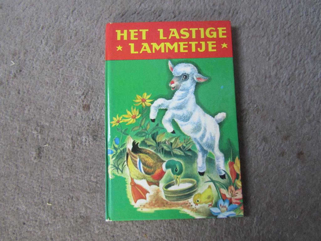 Boek: Het lastige lammetje, Ophalen of Verzenden, Gelezen, D. Rudeman, Fictie algemeen