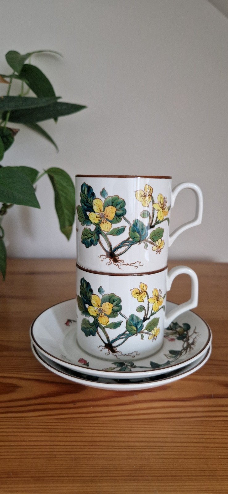 2 Villeroy & Boch Botanica espressokopjes met schotel, Klassiek, Villeroy & Boch, Ophalen of Verzenden, Kop(pen) en/of Schotel(s)