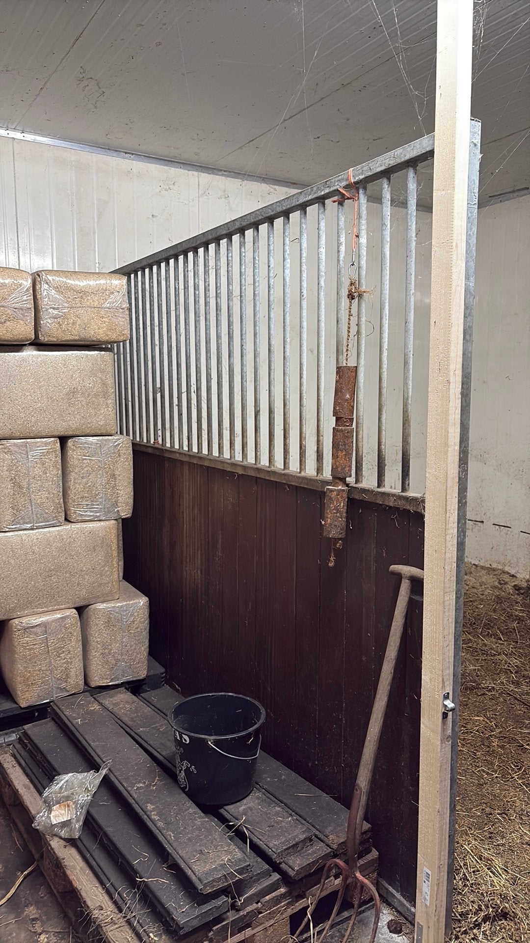Tussenwanden, Dieren en Toebehoren, 1 paard of pony