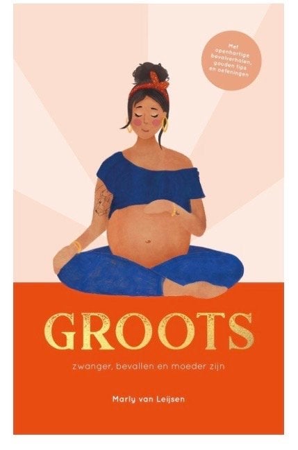 Boek GROOTS: Zwanger, Bevallen en Moeder Zijn, Boeken, Zwangerschap en Opvoeding, Ophalen of Verzenden, Nieuw, Zwangerschap en Bevalling