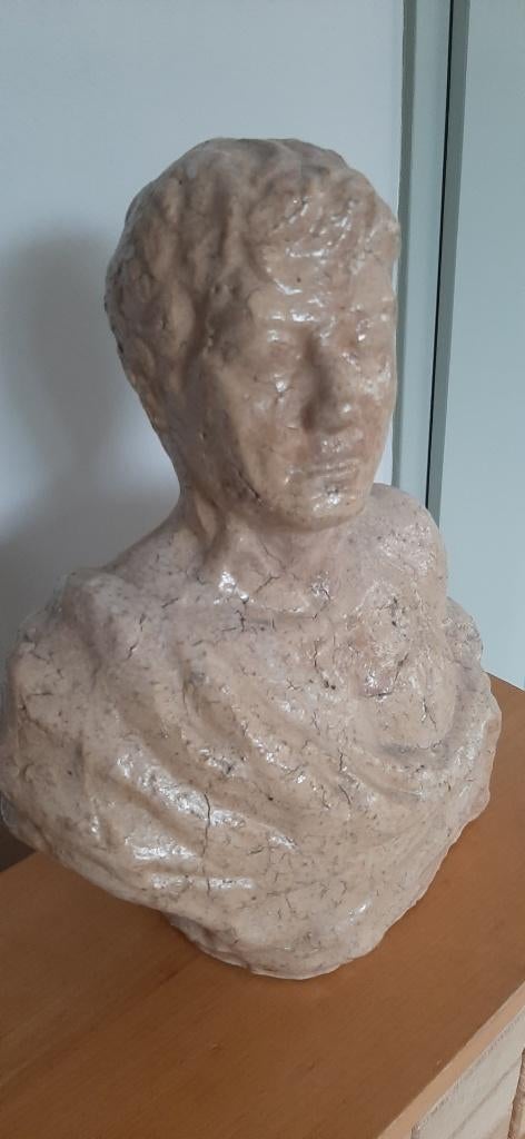 Terra cotta borstbeeld, Ophalen of Verzenden, Zo goed als nieuw