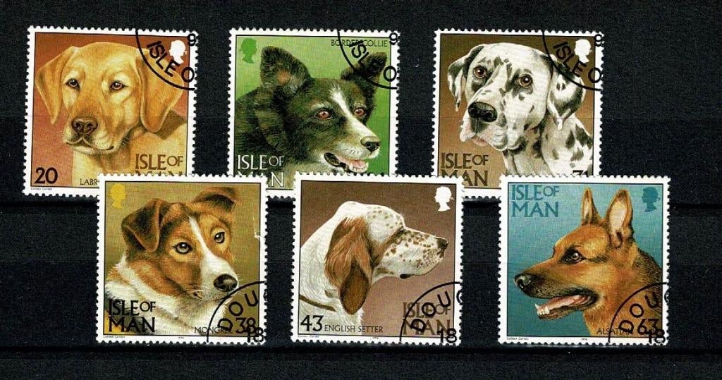 Kanaaleilanden  : Man - 1996 - Honden - Michel 688 t/m 693, Verzenden, Gestempeld