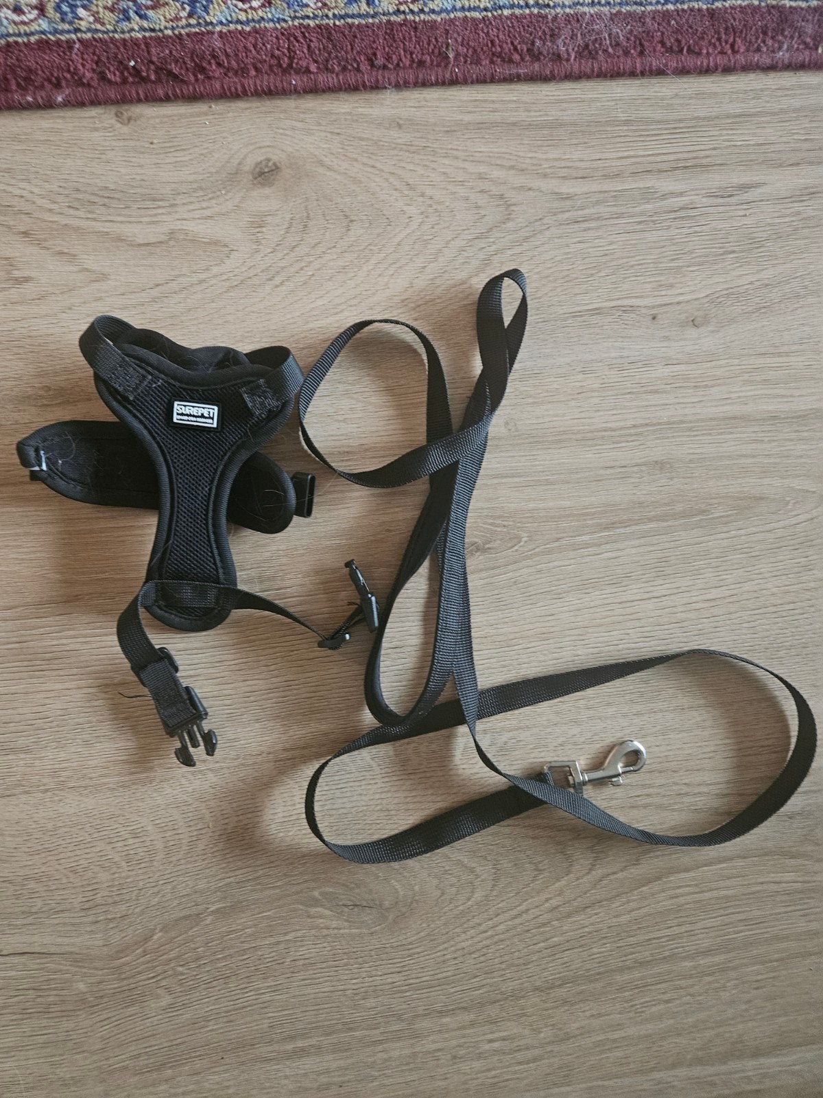 Kattentuigje met riem voor kitten, cat leash and harness, Dieren en Toebehoren, Ophalen of Verzenden