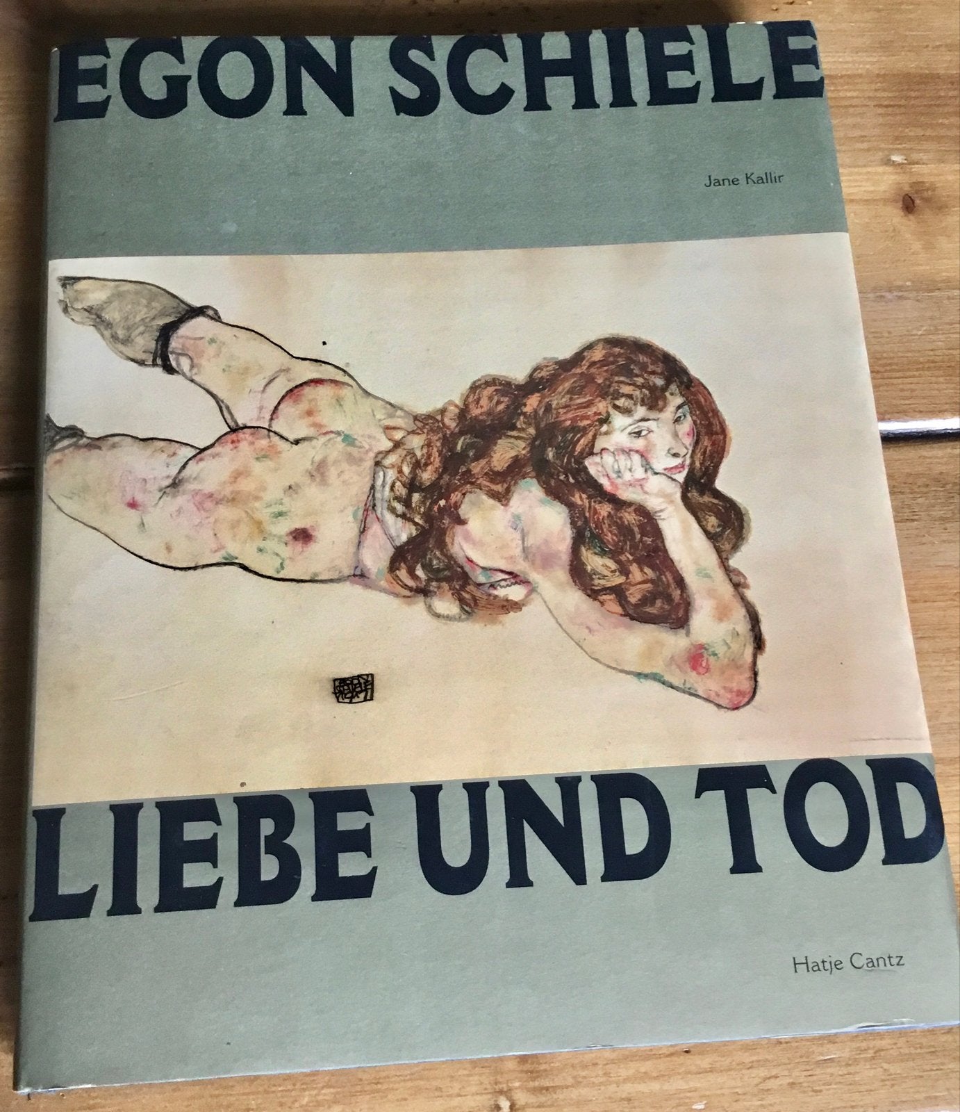 EGON SCHIELE - LIEBE UND TOD ( DUITSTALIG ), Boeken, Ophalen of Verzenden, Gelezen, Schilder- en Tekenkunst, Hatje Cantz