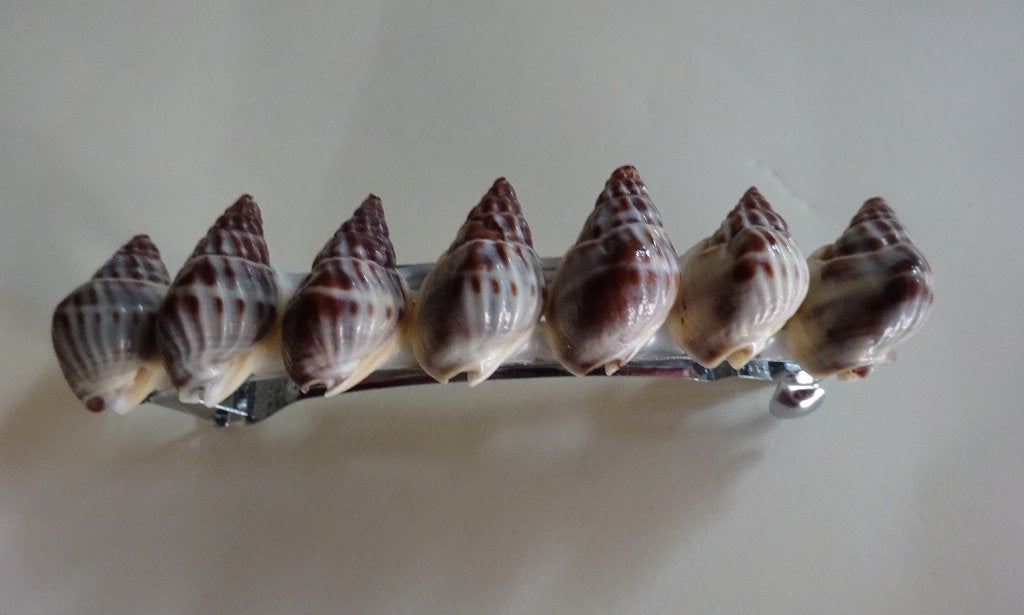 Haarspeld / Haarclip met 7 natuurlijke zeeschelpen, Verzenden, Zo goed als nieuw, Haarspeld
