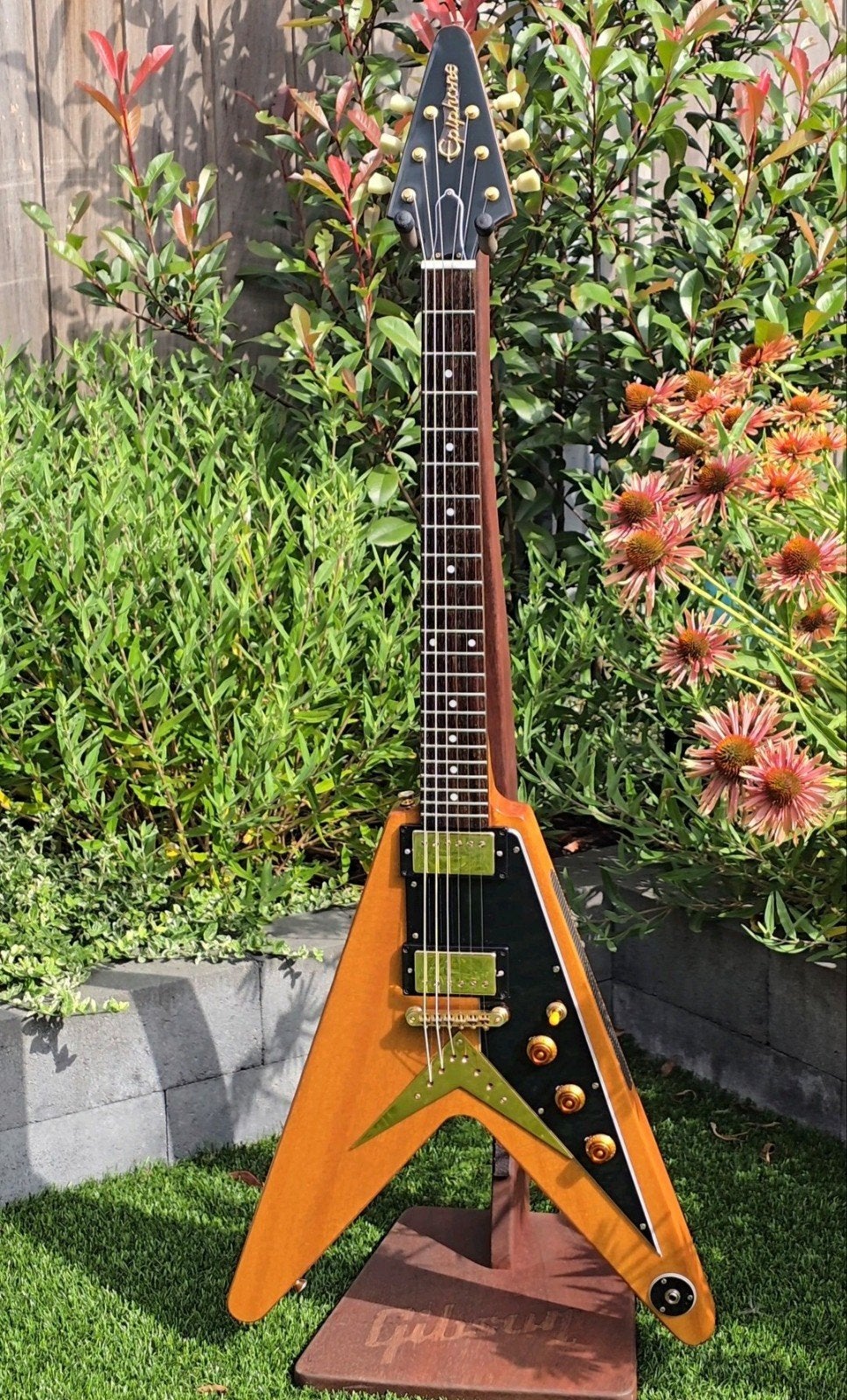 Epiphone 1958 Flying-V Korina (incl. koffer), Muziek en Instrumenten, Ophalen of Verzenden, Nieuw, Solid body, Epiphone