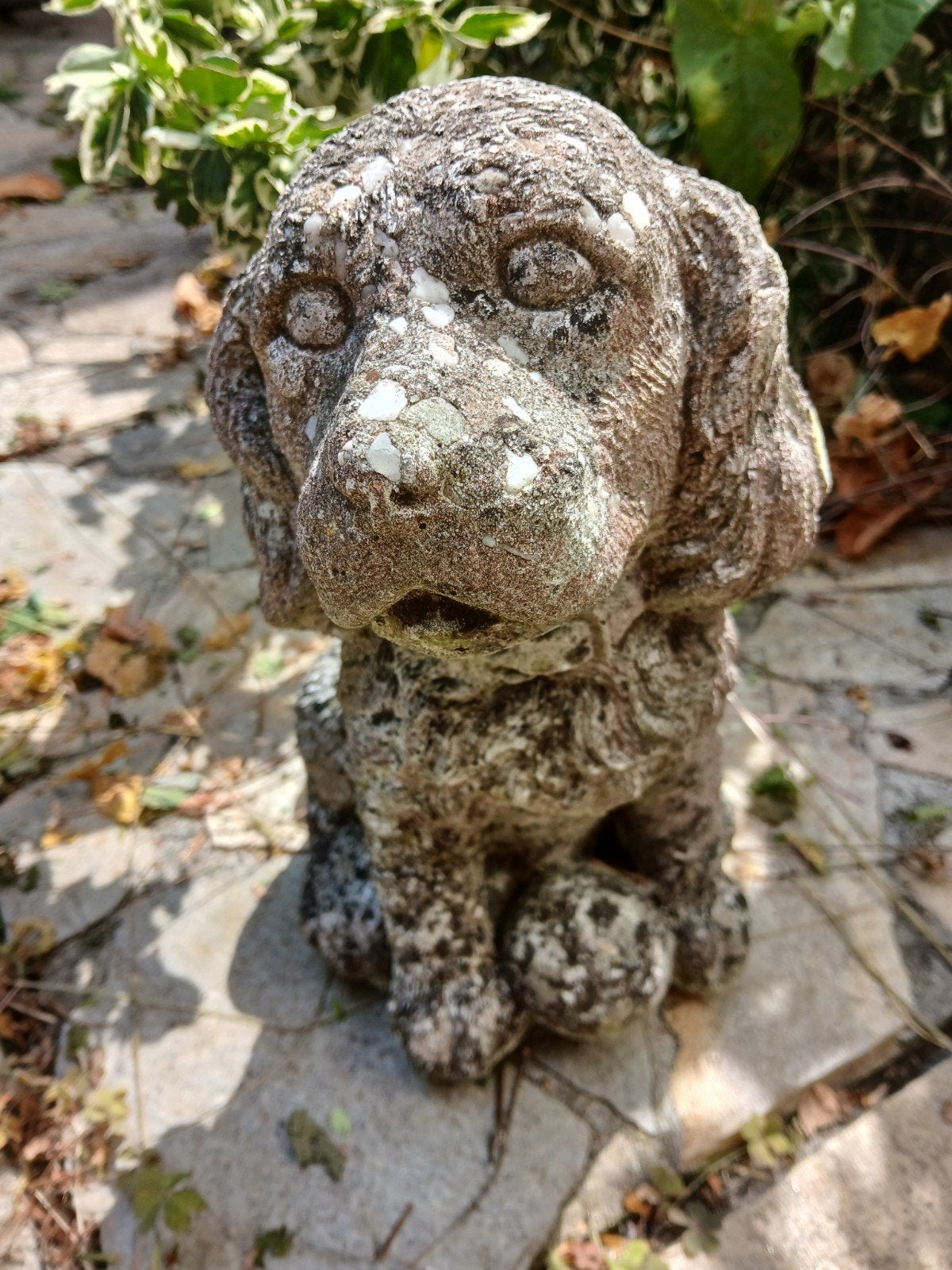Betonnen tuinbeeld hond of puppie - 26 cm hoog, Ophalen of Verzenden, Gebruikt, Beton, Dierenbeeld