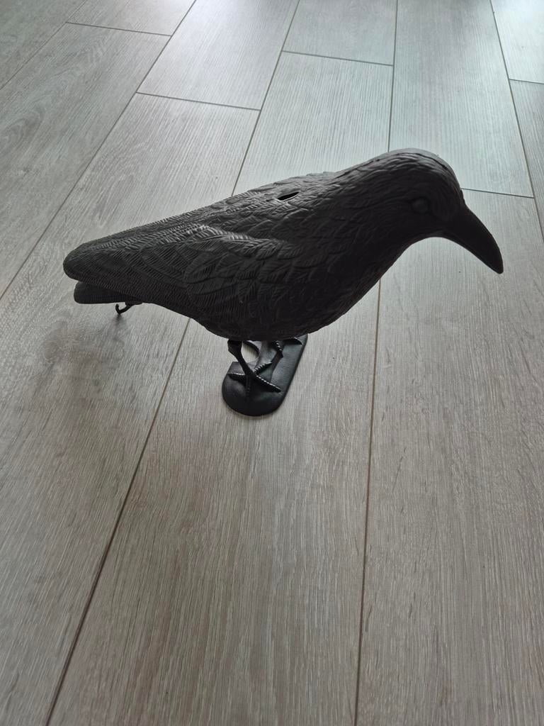 Kunst Kraai - Decoratieve Vogel, Ophalen