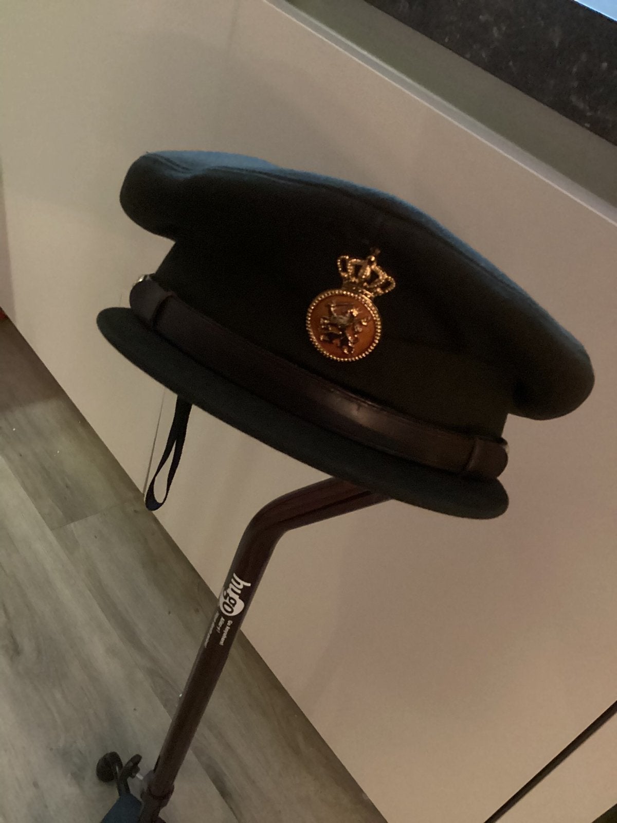 Pet, Verzenden, Gedragen, Pet