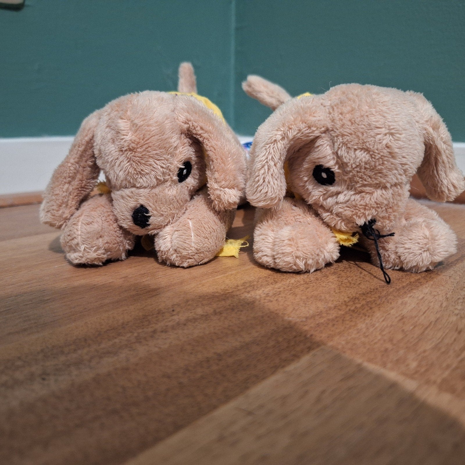 Twee schattige hondjes met sjaaltje - knuffels, Ophalen