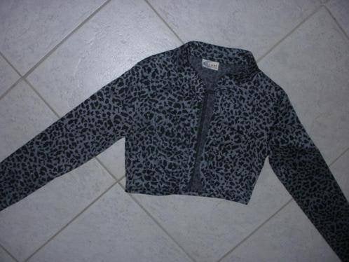 Bolero vest maat s, Kleding | Dames, Ophalen of Verzenden, Zo goed als nieuw, Maat 36 (S)