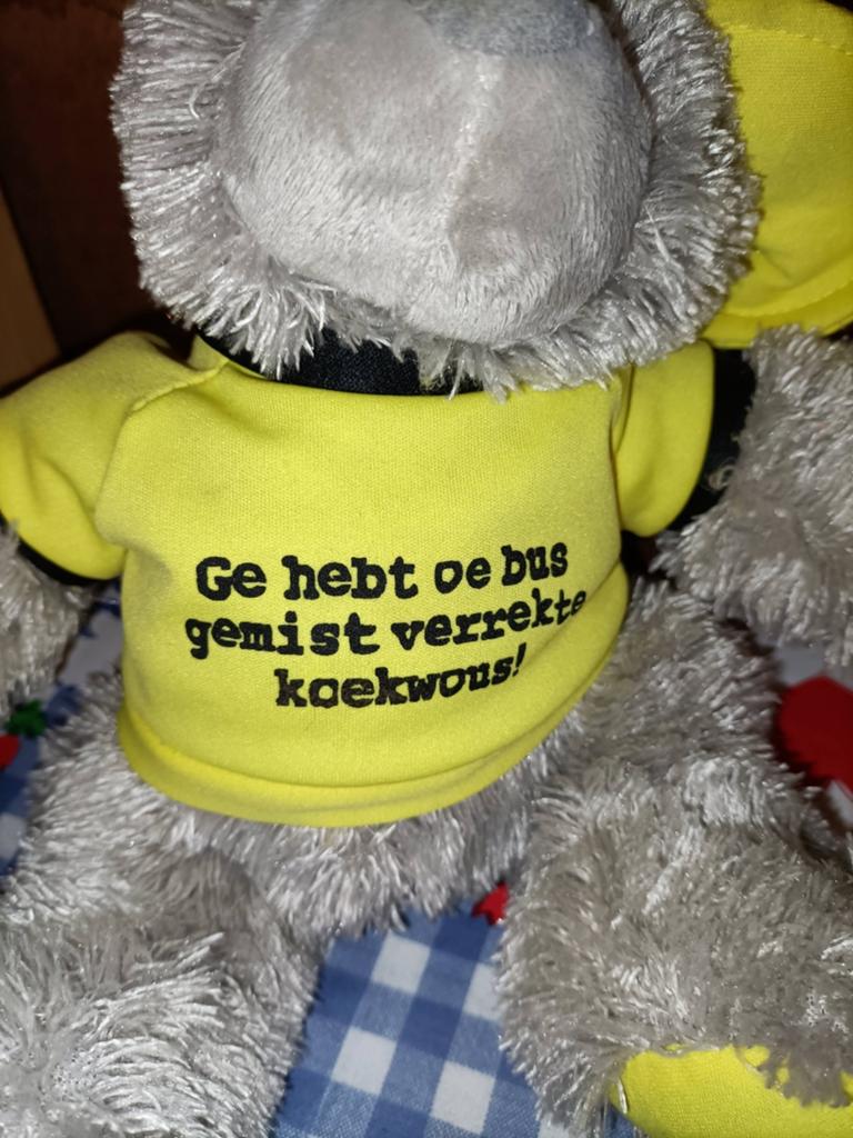Maaskantje beer knuffel Ge hebt oe bus gemist koekwous, Ophalen of Verzenden, Zo goed als nieuw, Beer