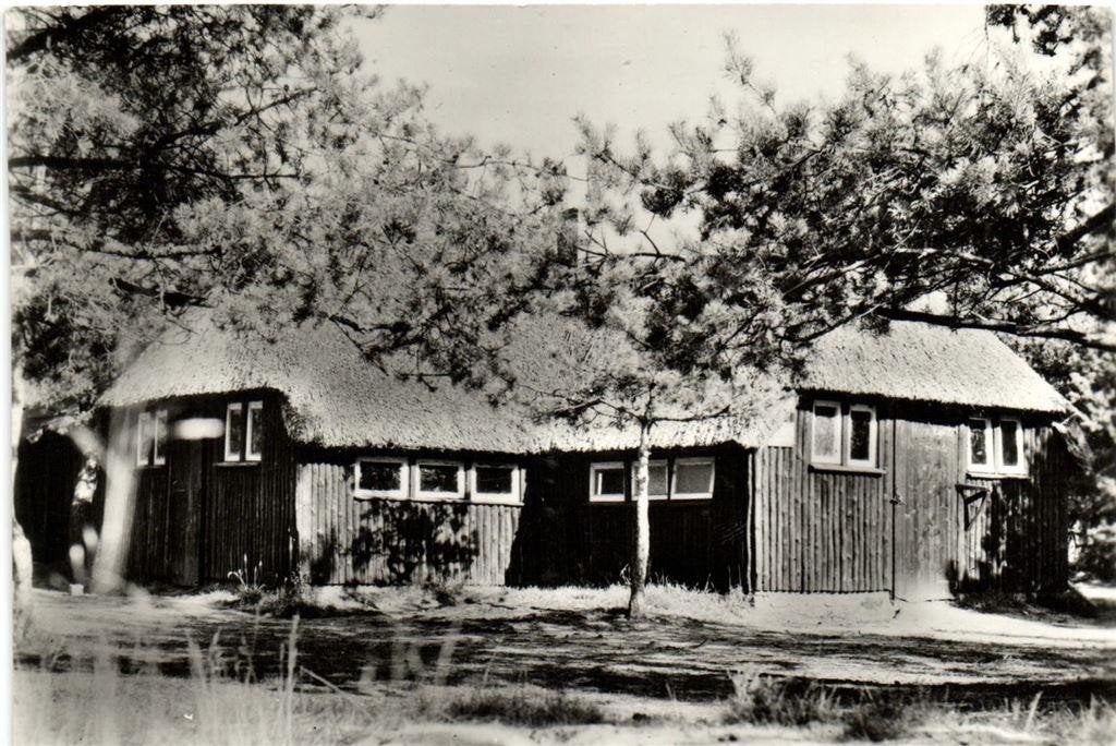 Recreatiecentrum De Noordster, Dwingeloo - 1964 gelopen, Ophalen of Verzenden, 1960 tot 1980, Gelopen, Drenthe