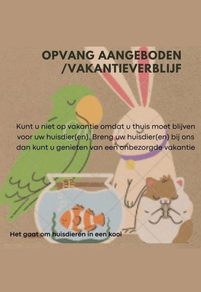 Dierenopvang aangeboden  oppas, Ophalen, Knaagdier of Konijn