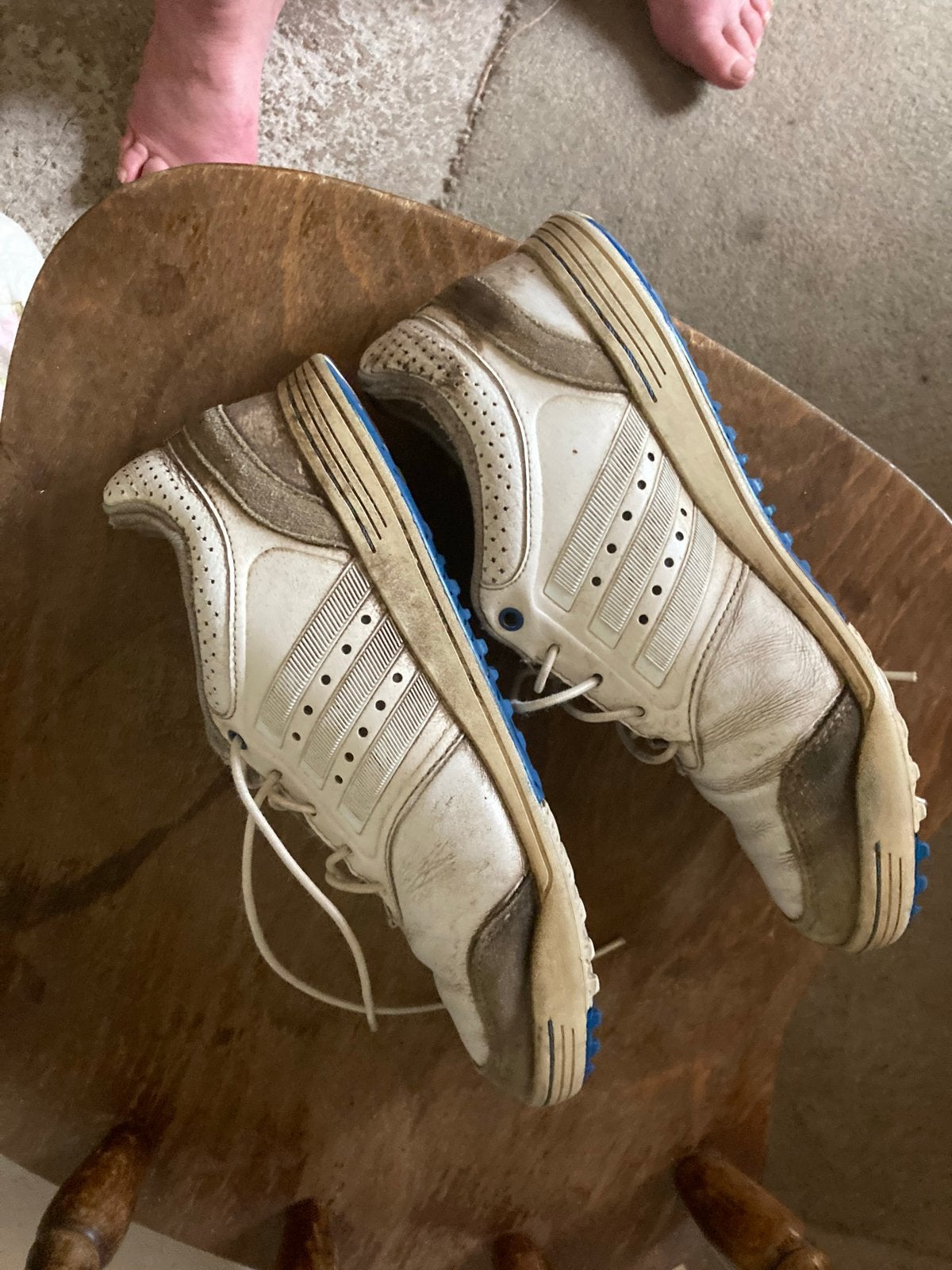 Adidas Golfschoenen - Goede Staat 25€, Sport en Fitness, Golf, Ophalen of Verzenden, Gebruikt, Schoenen, Overige merken