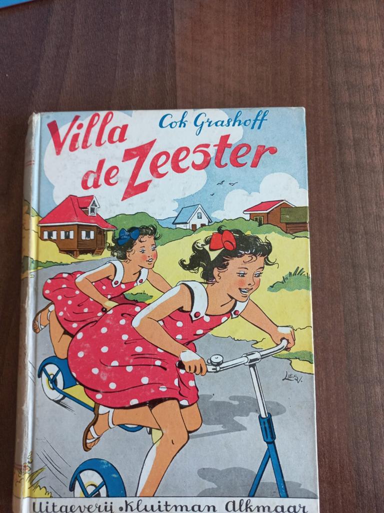 Villa de Zeester, Coke Grashoff, Ophalen of Verzenden, Fictie algemeen