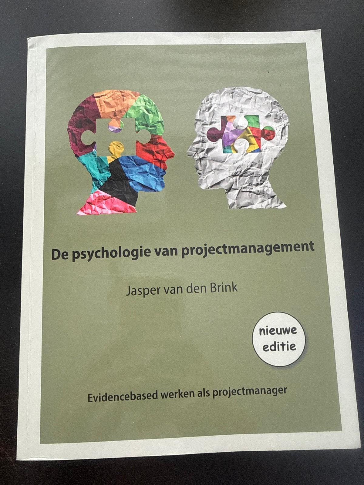 De psychologie van projectmanagement - Jasper van den Brink, Ophalen of Verzenden, Gamma, Zo goed als nieuw, HBO