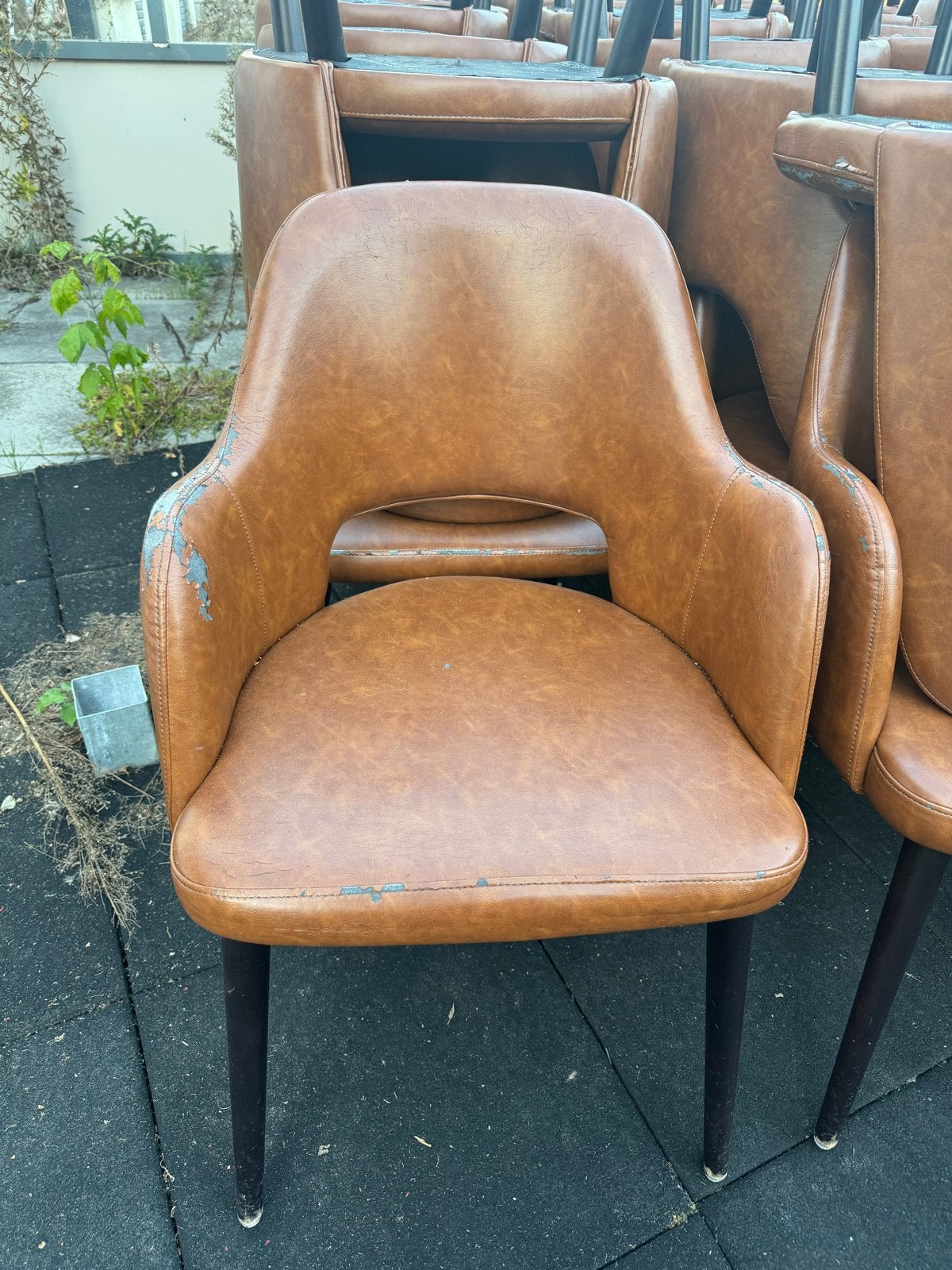 Gratis af te halen: Stoelen met gebruikerssporen, Ophalen, Gebruikt, Bruin, Leer