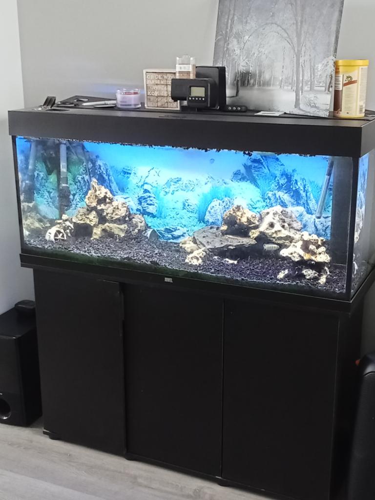Juwel rio, Ophalen of Verzenden, Zo goed als nieuw, Gevuld zoetwateraquarium