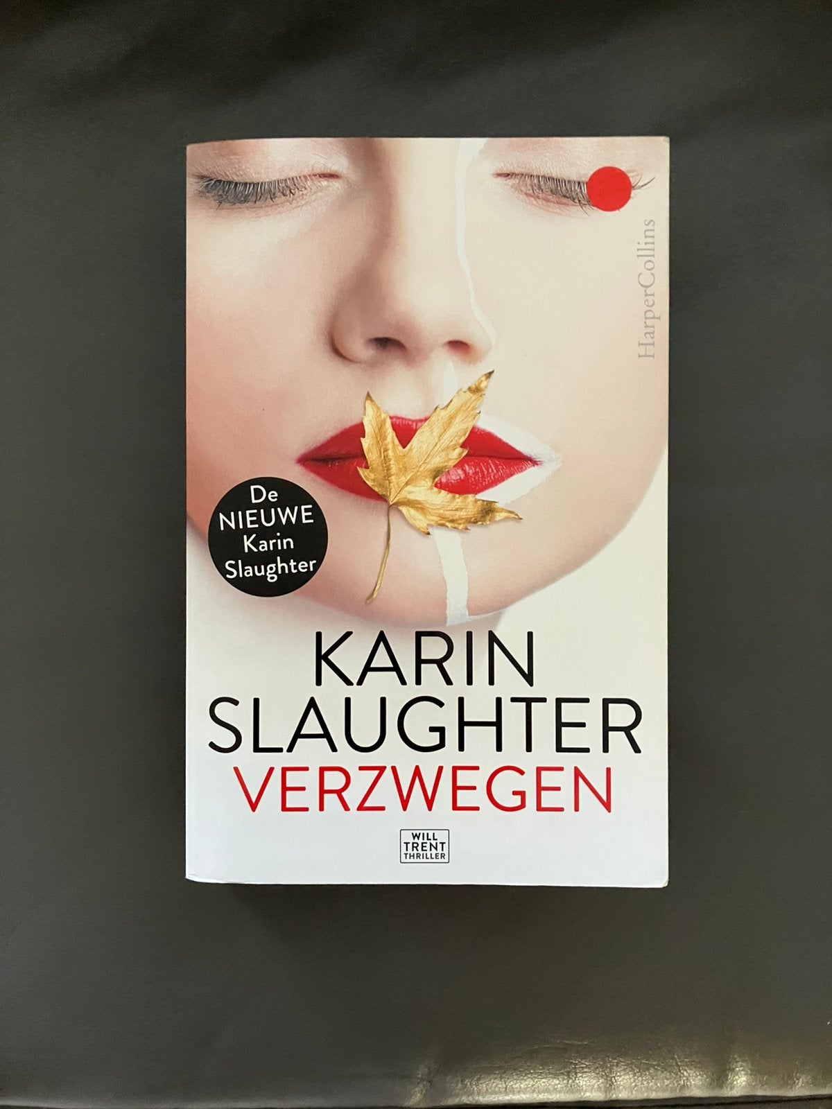 Verzwegen van Karin Slaghter, Ophalen, Zo goed als nieuw