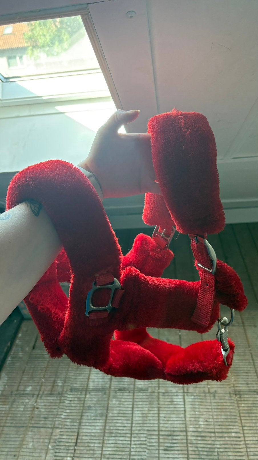 Bont halster paard rood, Dieren en Toebehoren, Ophalen of Verzenden, Zo goed als nieuw, Overige soorten