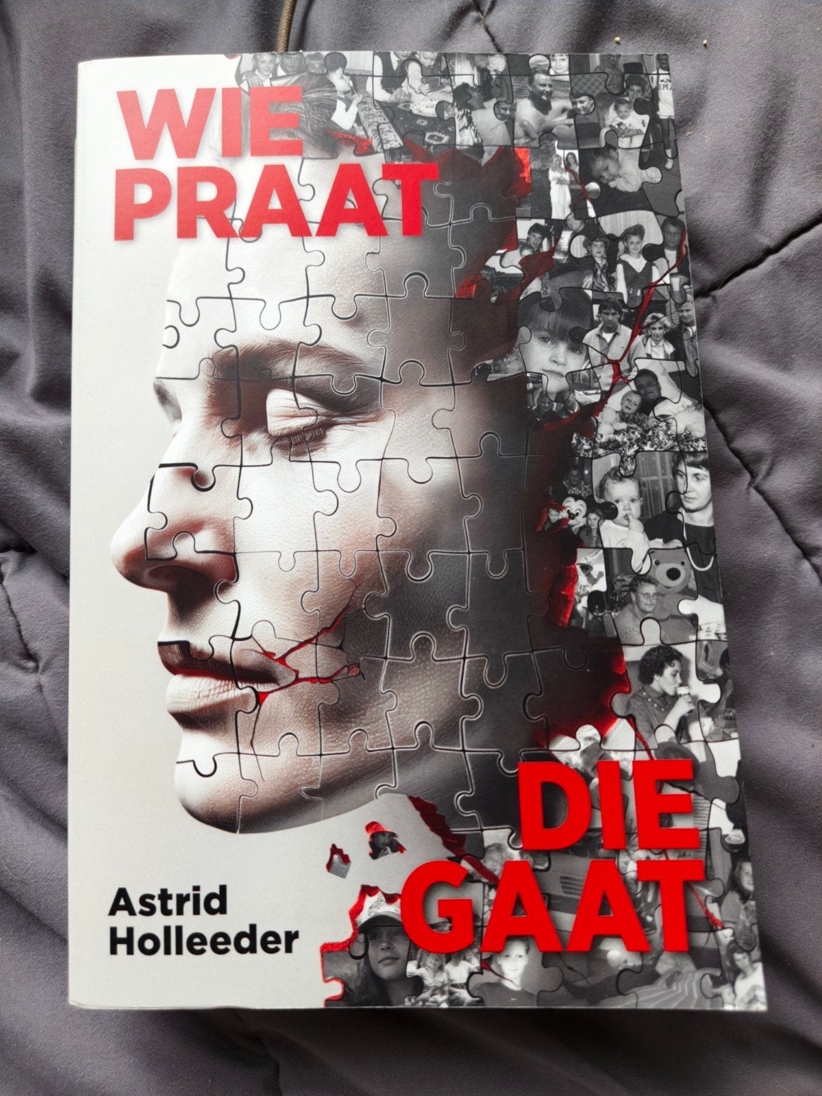 Boek Astrid Holleeder - Wie Praat Die Gaat, Ophalen of Verzenden, Gelezen, Astrid Holleeder, Overige