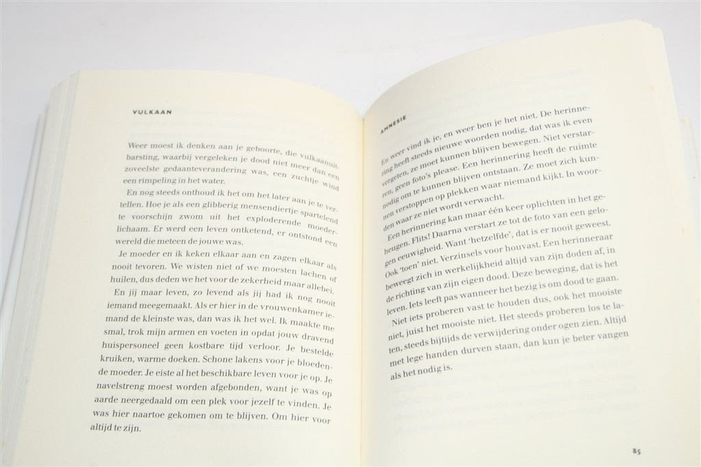 Schaduwkind — P. F. Thomése — Rouw — 10e Druk [2004], Boeken, Ophalen of Verzenden, Gelezen
