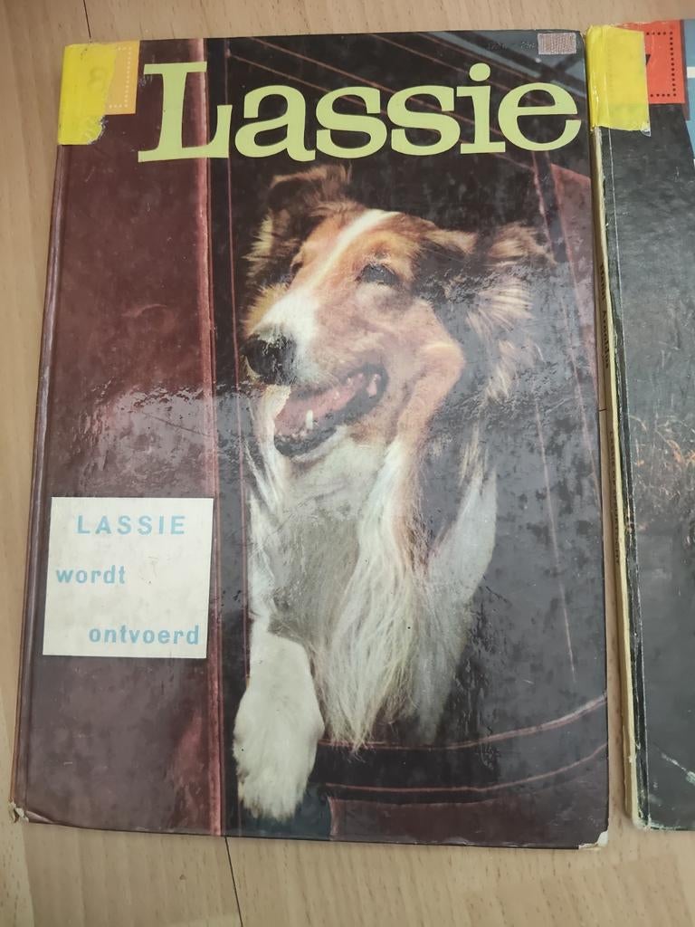 Lassie leesboeken, Boeken, Ophalen of Verzenden