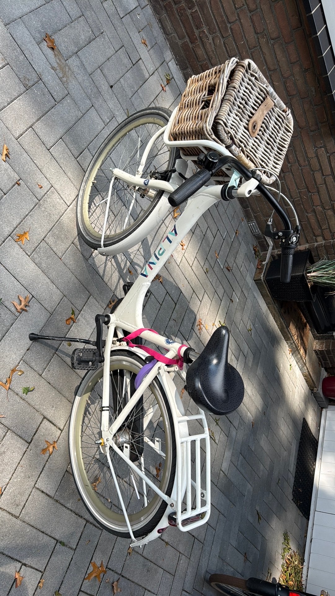 Alpina transporter fiets 23 inch, Fietsen en Brommers, Ophalen, Gebruikt, Handrem