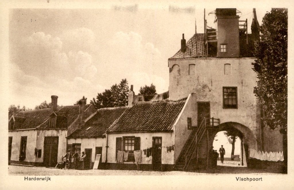 Harderwijk Vischpoort # 495, Verzenden, 1920 tot 1940, Gelopen, Gelderland