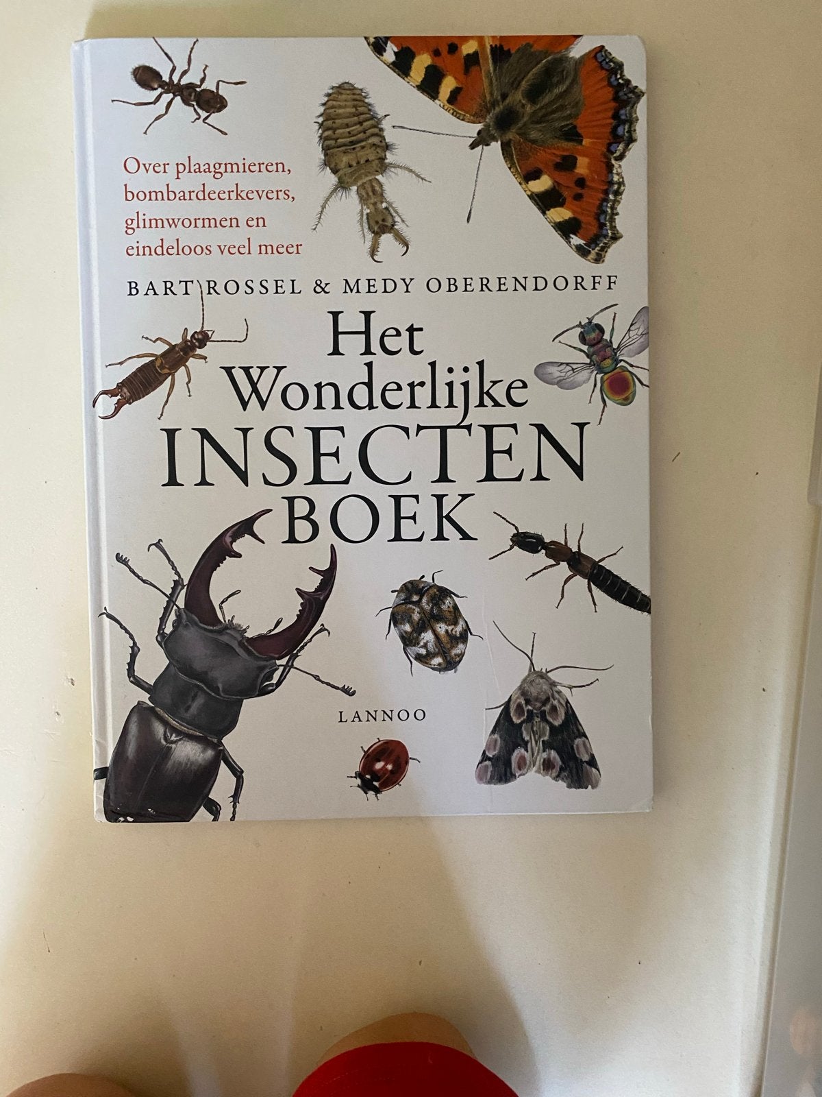 Het Wonderlijke Insectenboek - Bart Rossel & Medy Oberendorf, Ophalen of Verzenden, Zo goed als nieuw, Overige onderwerpen