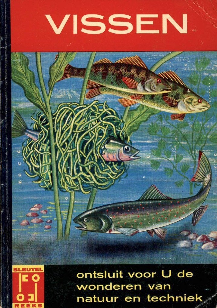 Vissen - Sleutel Reeks, Boeken, Gelezen, George S. Fichter, Ophalen of Verzenden, Natuur algemeen