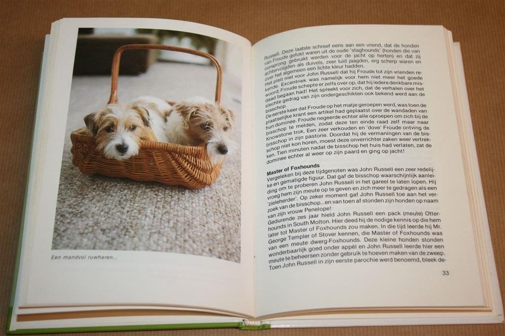 De Jack Russell Terrier — Rashandboek Hondenverzorging, Boeken, Ophalen of Verzenden, Gelezen, Honden
