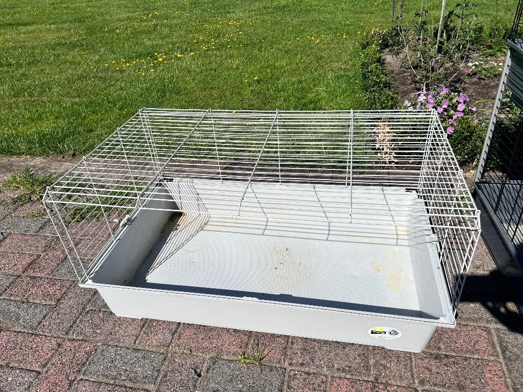Cavia Kooi, Dieren en Toebehoren, Knaagdieren en Konijnen | Hokken en Kooien, Kooi, Gebruikt, 75 tot 110 cm, Cavia