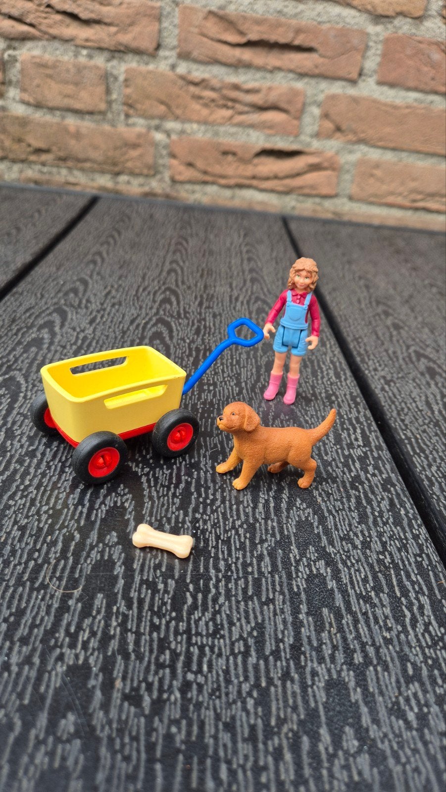 Schleich meisje met hondje en karretje, Kinderen en Baby's, Speelgoed | Overig, Ophalen of Verzenden, Zo goed als nieuw, Meisje